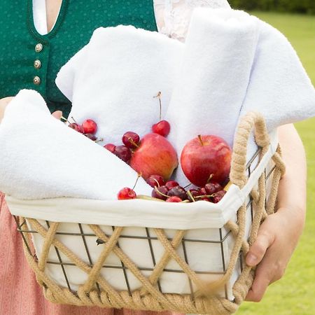 Obstgarten Gaestehaus Hollenstein an der Ybbs 외부 사진